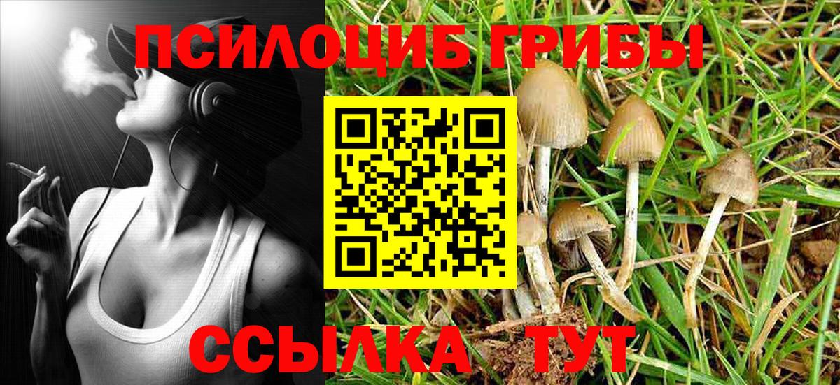 Галлюциногенные грибы ЛСД  Вход с VPN  Псилоцибиновые грибы Psilocybine cubensis  Троицк 